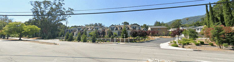 Street with houses and trees