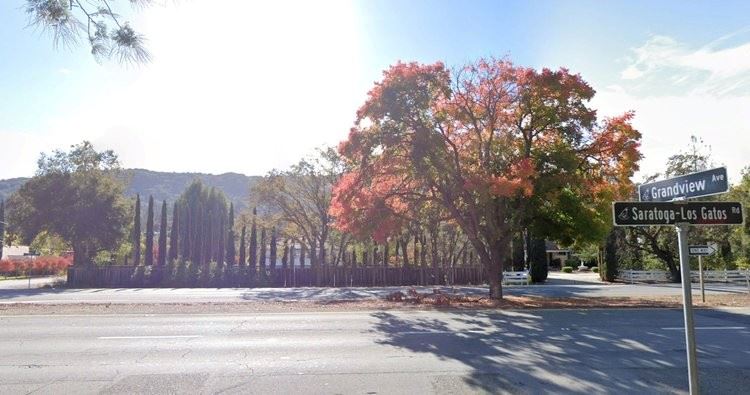 Street with trees and road signs